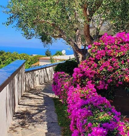 Forio di Ischia Appartamenti Luongo מראה חיצוני תמונה