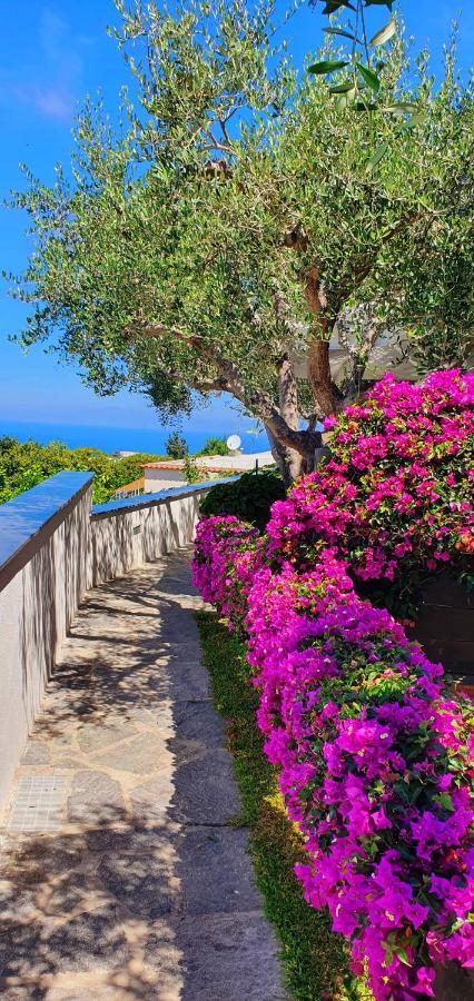 Forio di Ischia Appartamenti Luongo מראה חיצוני תמונה