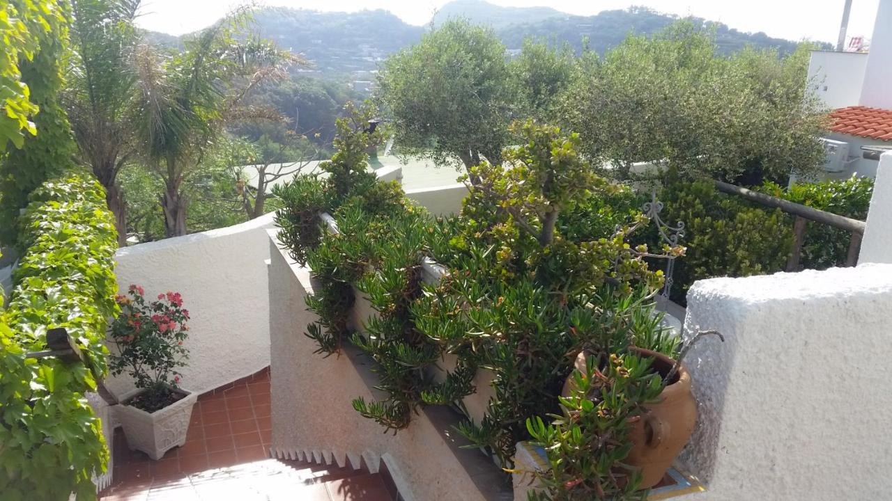 Forio di Ischia Appartamenti Luongo מראה חיצוני תמונה