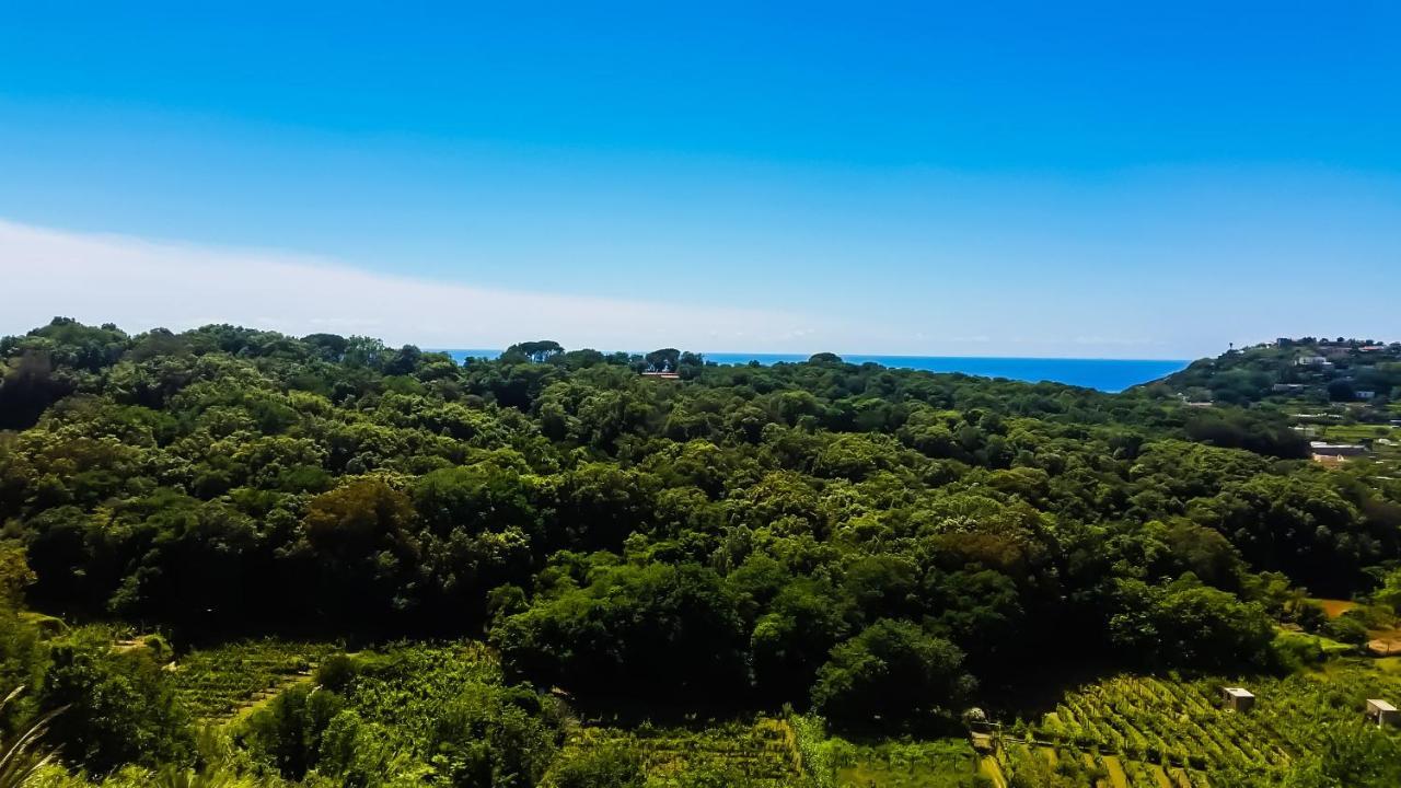 Forio di Ischia Appartamenti Luongo מראה חיצוני תמונה