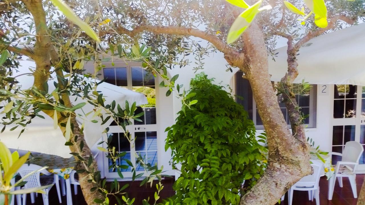 Forio di Ischia Appartamenti Luongo מראה חיצוני תמונה