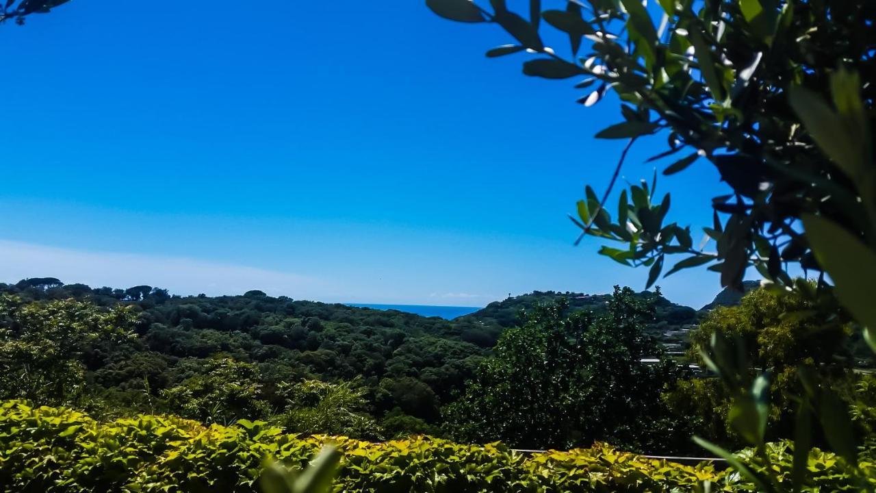 Forio di Ischia Appartamenti Luongo מראה חיצוני תמונה