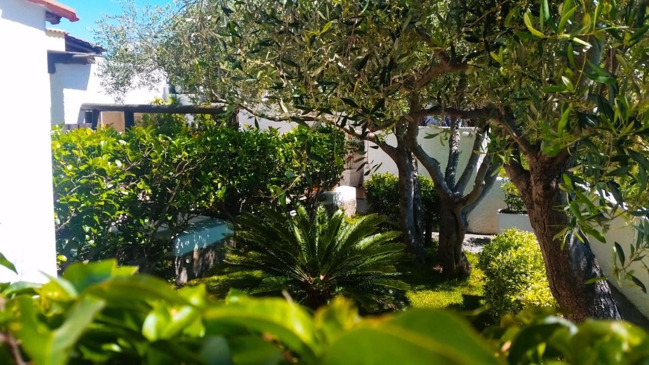 Forio di Ischia Appartamenti Luongo מראה חיצוני תמונה